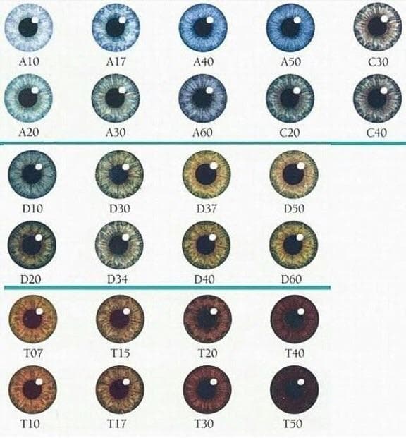 Eye color chart
